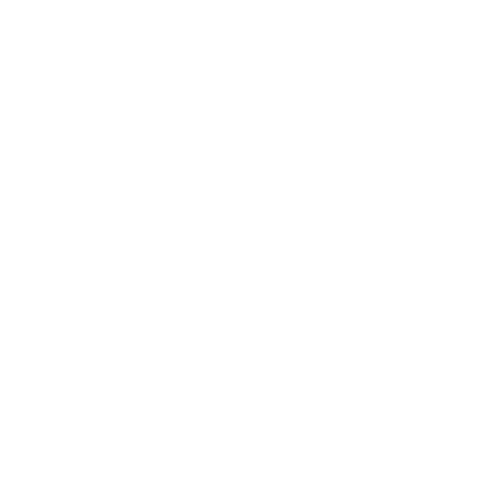 Forst Lungern AG