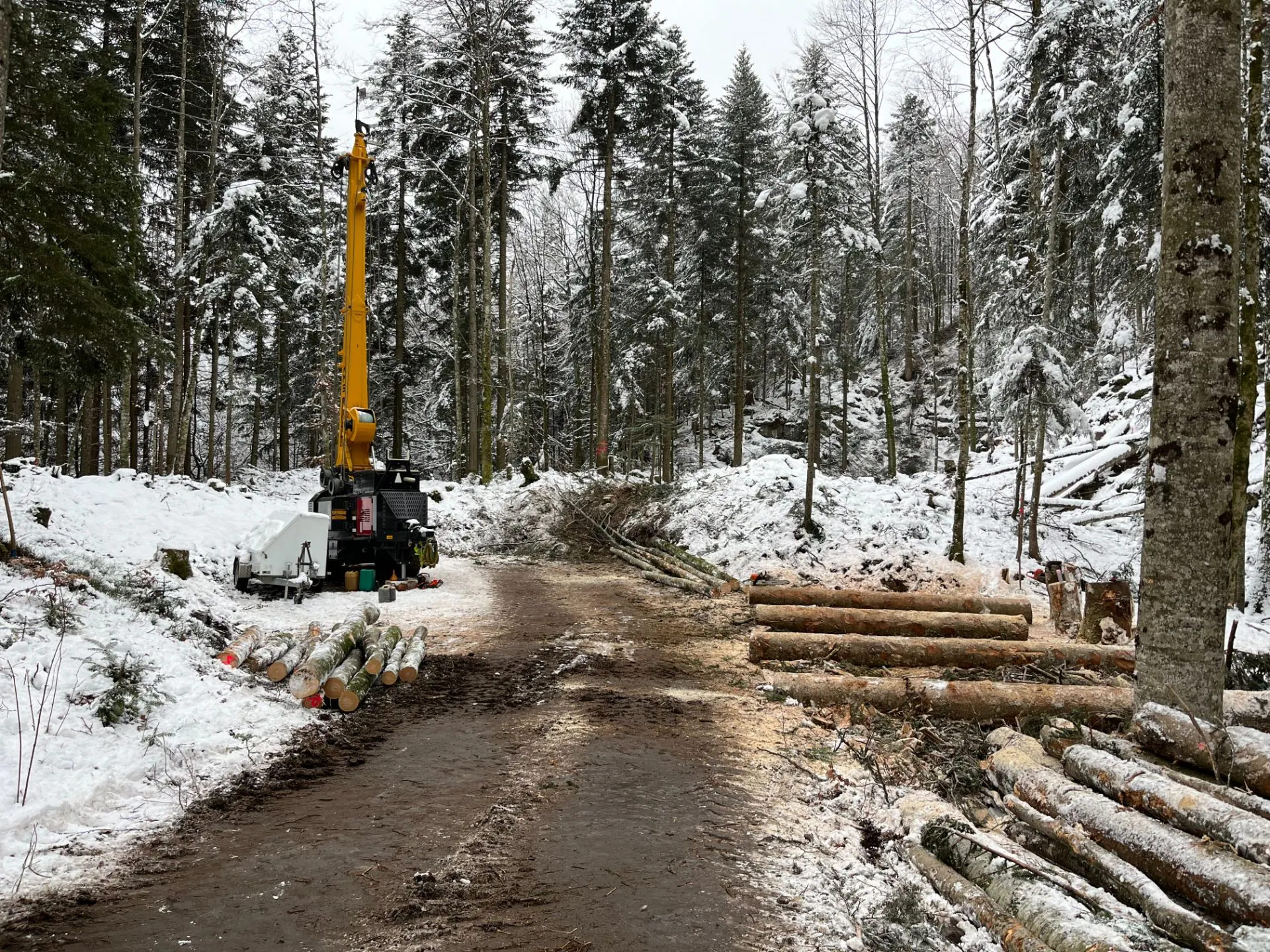 Seilkran im Winter